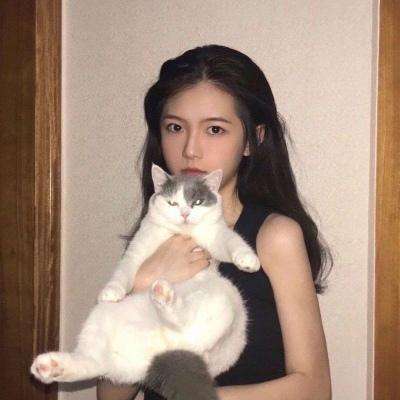 武圣屠龙果盘手游下载